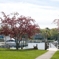 Greenwich Bay Marina (Warwick, RI)